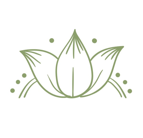 Plant Store in South Tampa Yura Vine Brothers Plant Shop